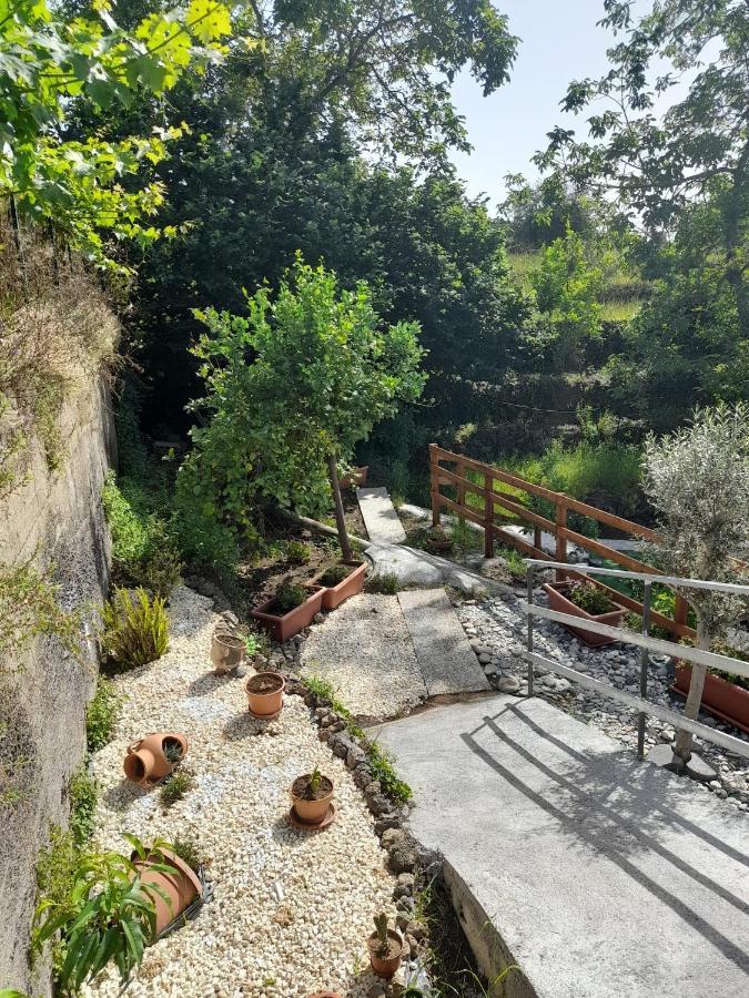 Sikelia Etna House Villa Zafferana Etnea Dış mekan fotoğraf